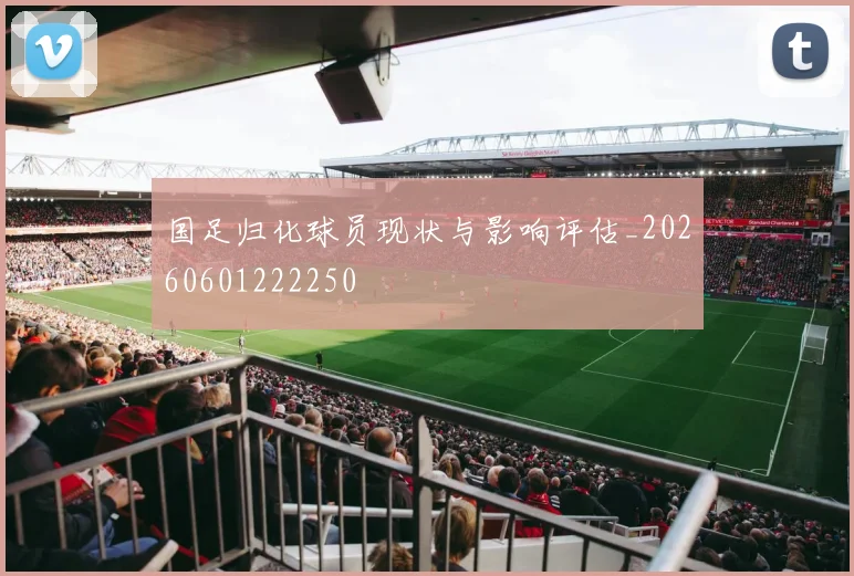 国足归化球员现状与影响评估_20260601222250